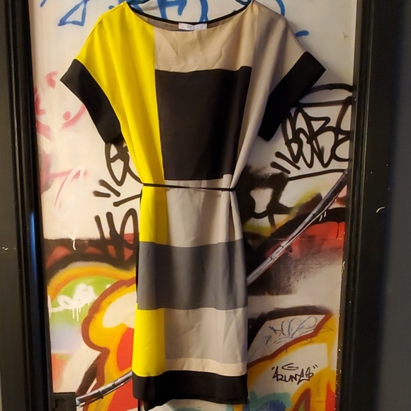 Reed Colorblocked Shift Dress - Picture 1 of 5